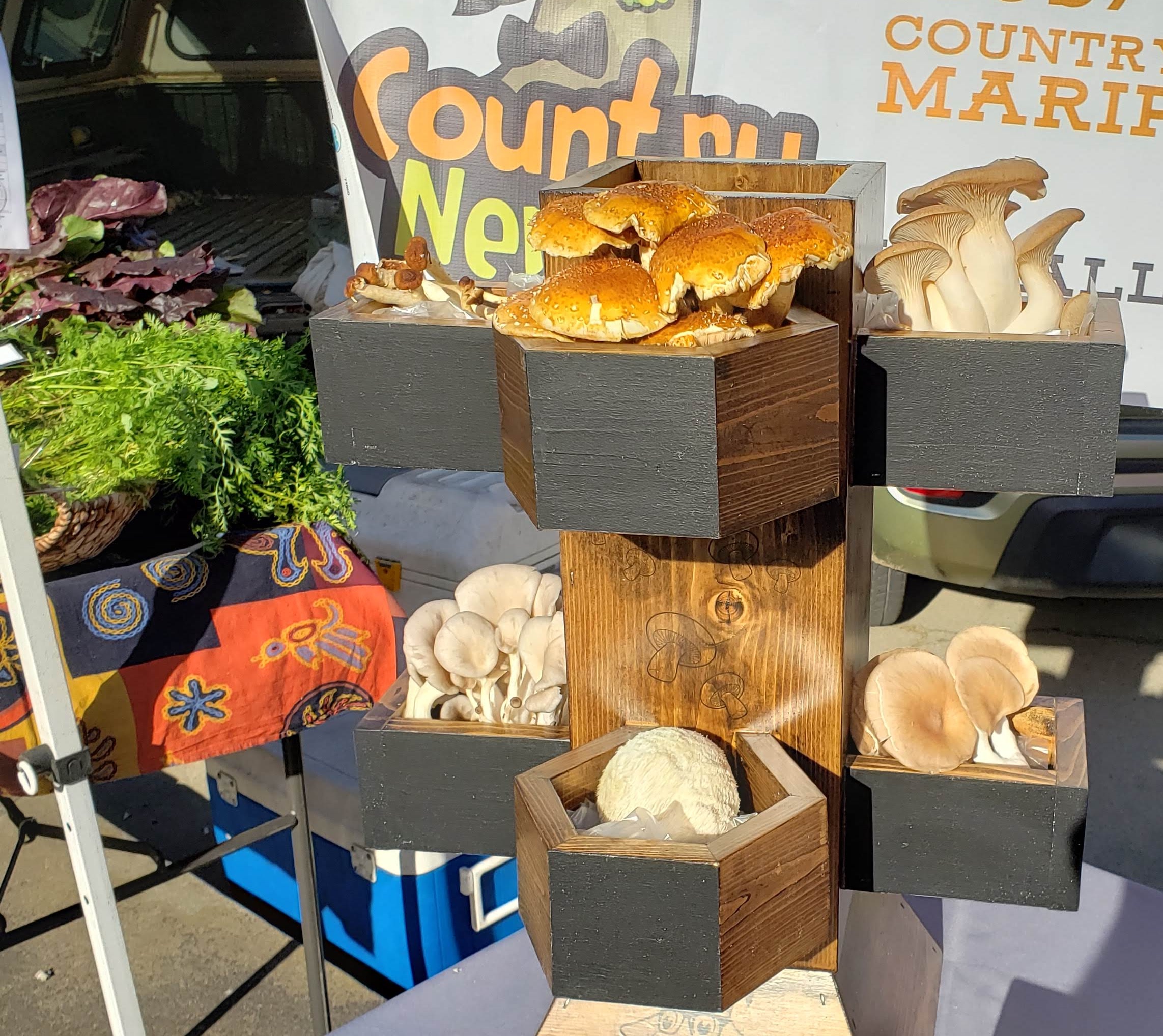 modesto market photo